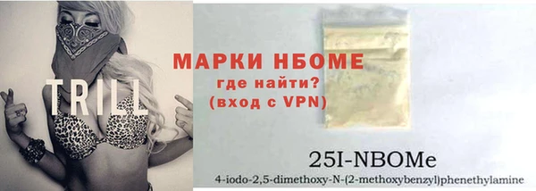 прущие грибы Рославль
