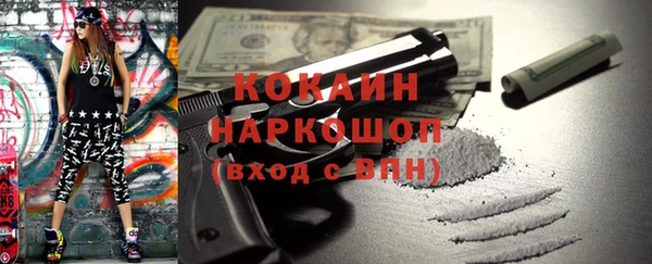 тгк Абаза