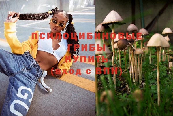 тгк Абаза