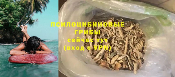 прущие грибы Рославль