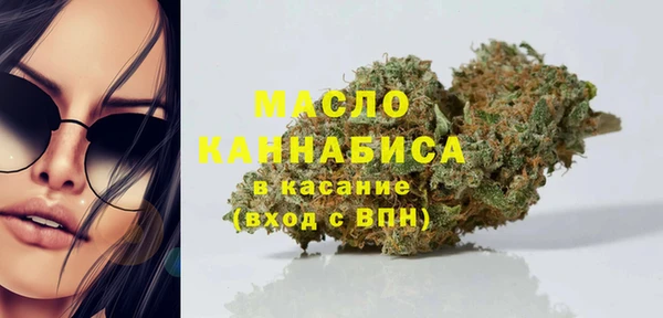 тгк Абаза